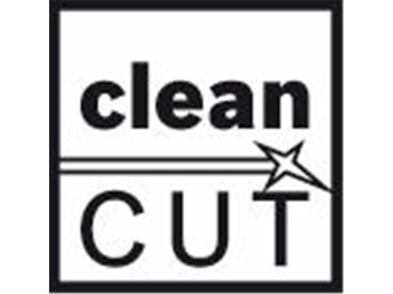 List za vbodno žago T 108 BHM Clean for Carbon Fiber